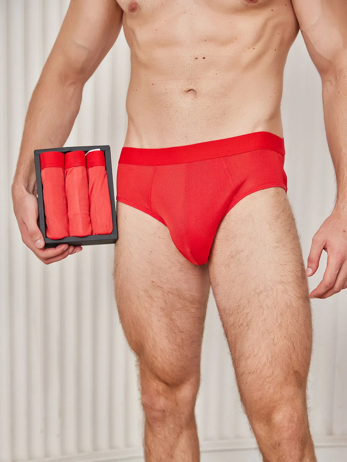 3Pcs Men Briefs Breathable Silk Knitted Underwear