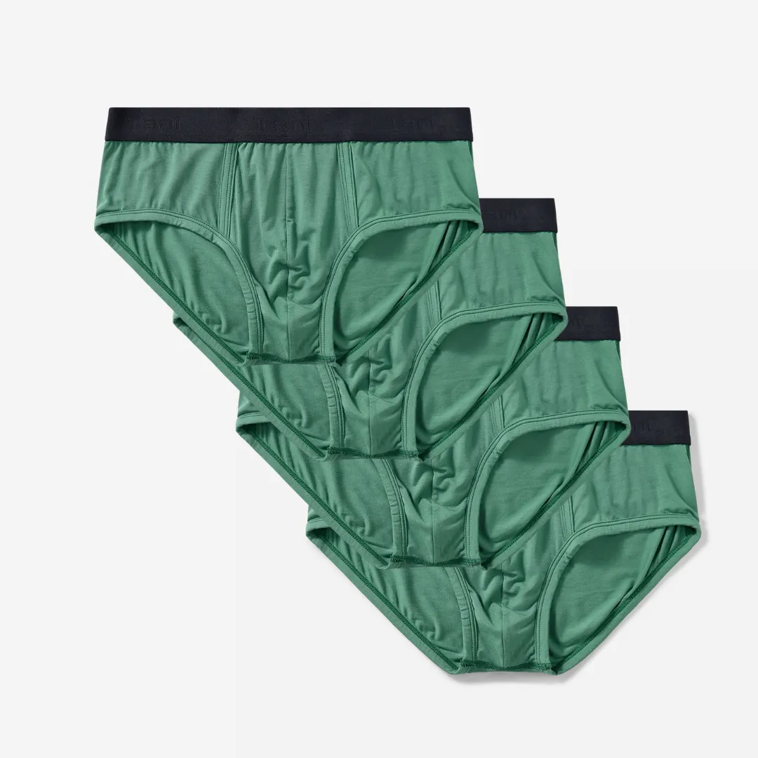 4 Pack Silktouch TENCEL™ Modal Air Waistband Brief (Seasonal)